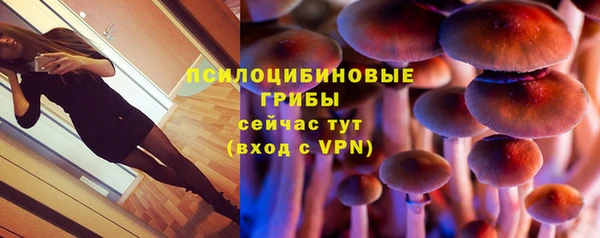 a pvp Белокуриха