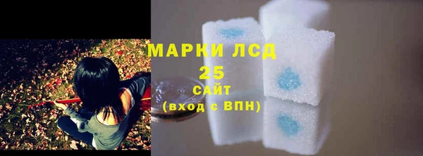 spice Беломорск