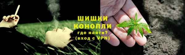 a pvp Белокуриха