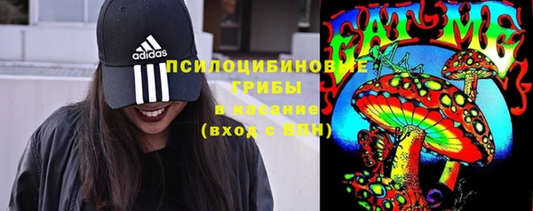 spice Беломорск